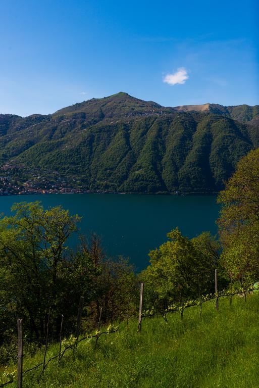 Tra Lago E Montagna Baita La Morena Нессо Екстер'єр фото
