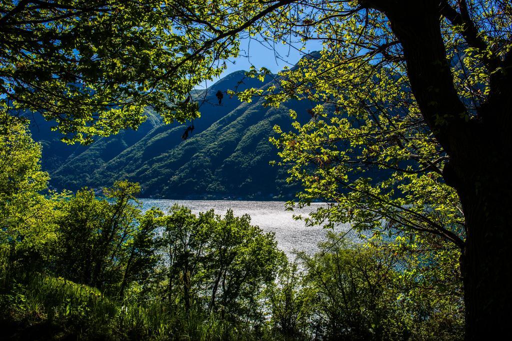 Tra Lago E Montagna Baita La Morena Нессо Екстер'єр фото